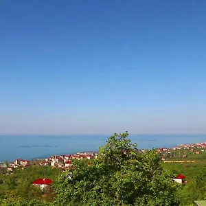 فيلة Stone Village, ترابزون